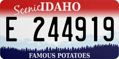ID license plate E244919