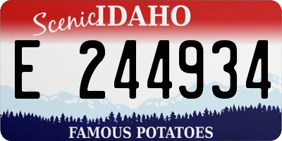 ID license plate E244934