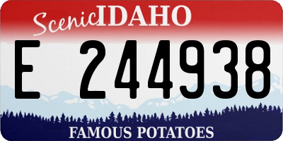 ID license plate E244938
