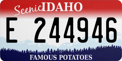 ID license plate E244946