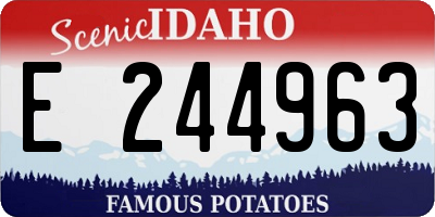 ID license plate E244963