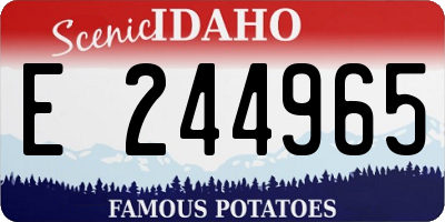 ID license plate E244965
