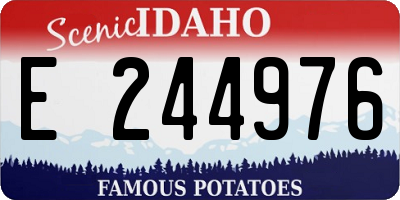 ID license plate E244976