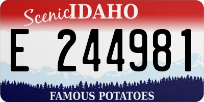 ID license plate E244981