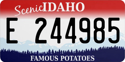 ID license plate E244985