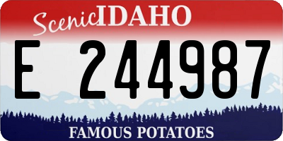 ID license plate E244987