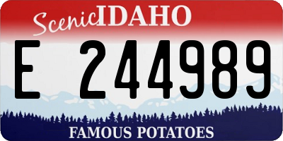 ID license plate E244989