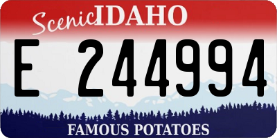 ID license plate E244994
