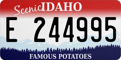 ID license plate E244995