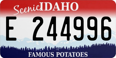 ID license plate E244996