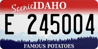 ID license plate E245004
