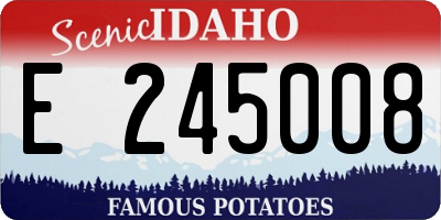 ID license plate E245008