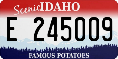 ID license plate E245009