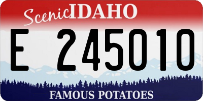ID license plate E245010