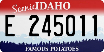 ID license plate E245011