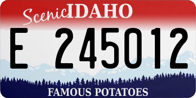 ID license plate E245012