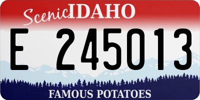 ID license plate E245013