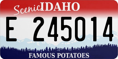 ID license plate E245014