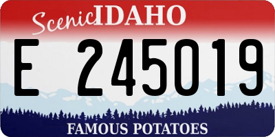 ID license plate E245019