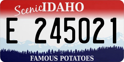 ID license plate E245021