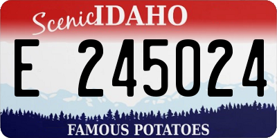 ID license plate E245024