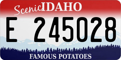 ID license plate E245028
