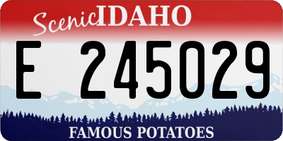 ID license plate E245029