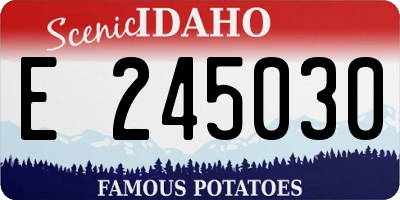 ID license plate E245030