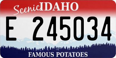 ID license plate E245034
