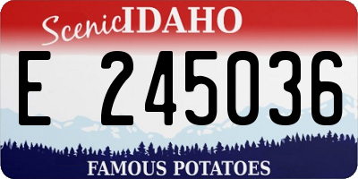 ID license plate E245036