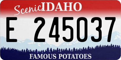 ID license plate E245037
