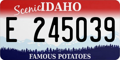 ID license plate E245039
