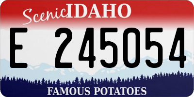 ID license plate E245054