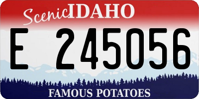 ID license plate E245056