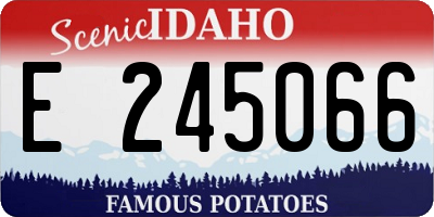 ID license plate E245066