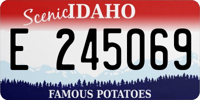 ID license plate E245069