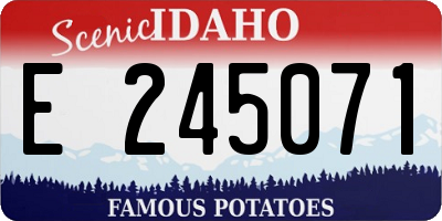 ID license plate E245071