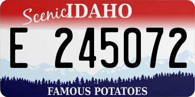 ID license plate E245072