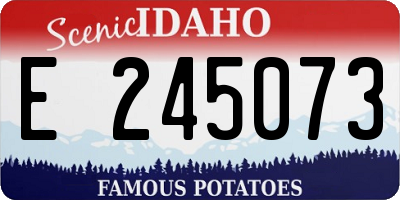 ID license plate E245073