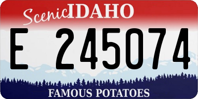 ID license plate E245074