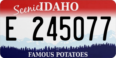 ID license plate E245077