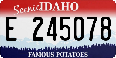 ID license plate E245078