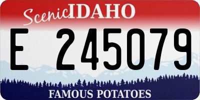 ID license plate E245079