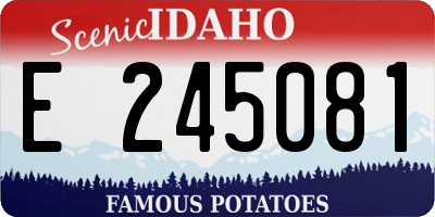 ID license plate E245081