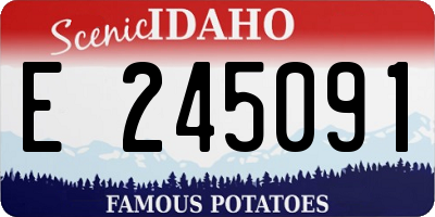 ID license plate E245091
