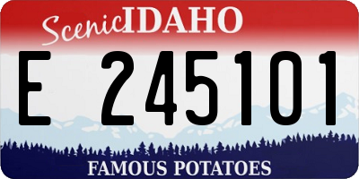 ID license plate E245101