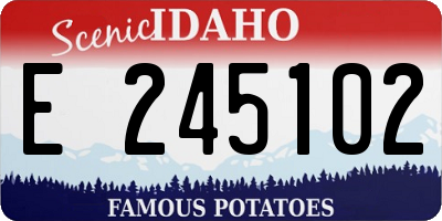 ID license plate E245102