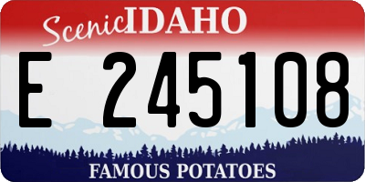 ID license plate E245108