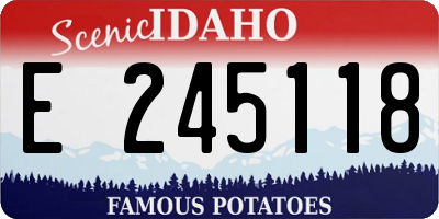 ID license plate E245118