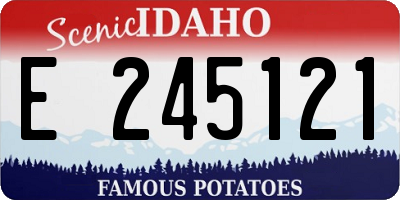 ID license plate E245121